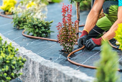 20251122 rendez vous m5p jardinier